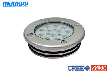 36W / 12W LED Swimming Pool Lights , Cree LED Underwater Pool Lights